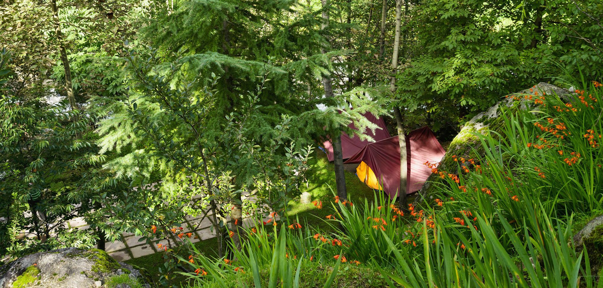 Solang Valley Resort Palchan Экстерьер фото