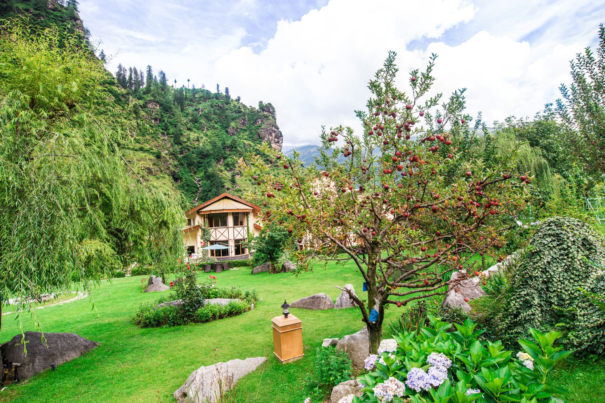 Solang Valley Resort Palchan Экстерьер фото