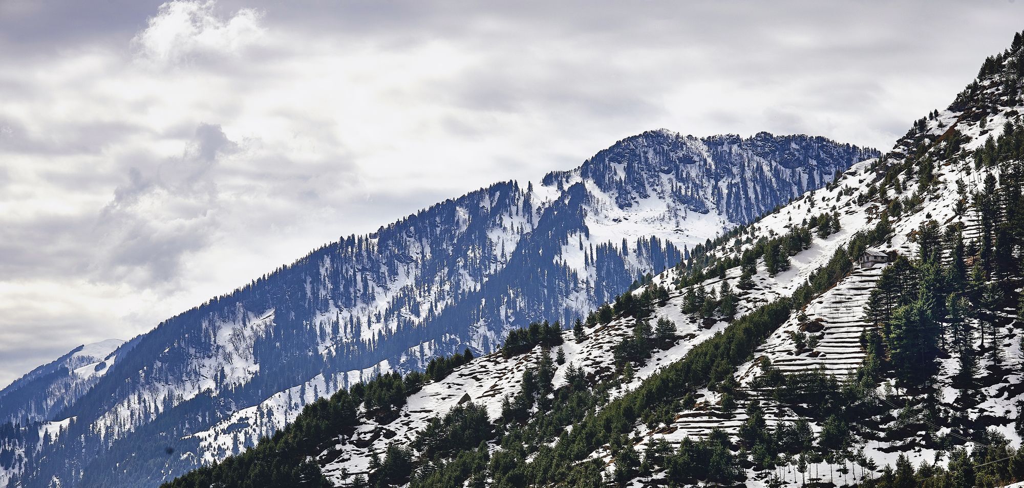 Solang Valley Resort Palchan Экстерьер фото