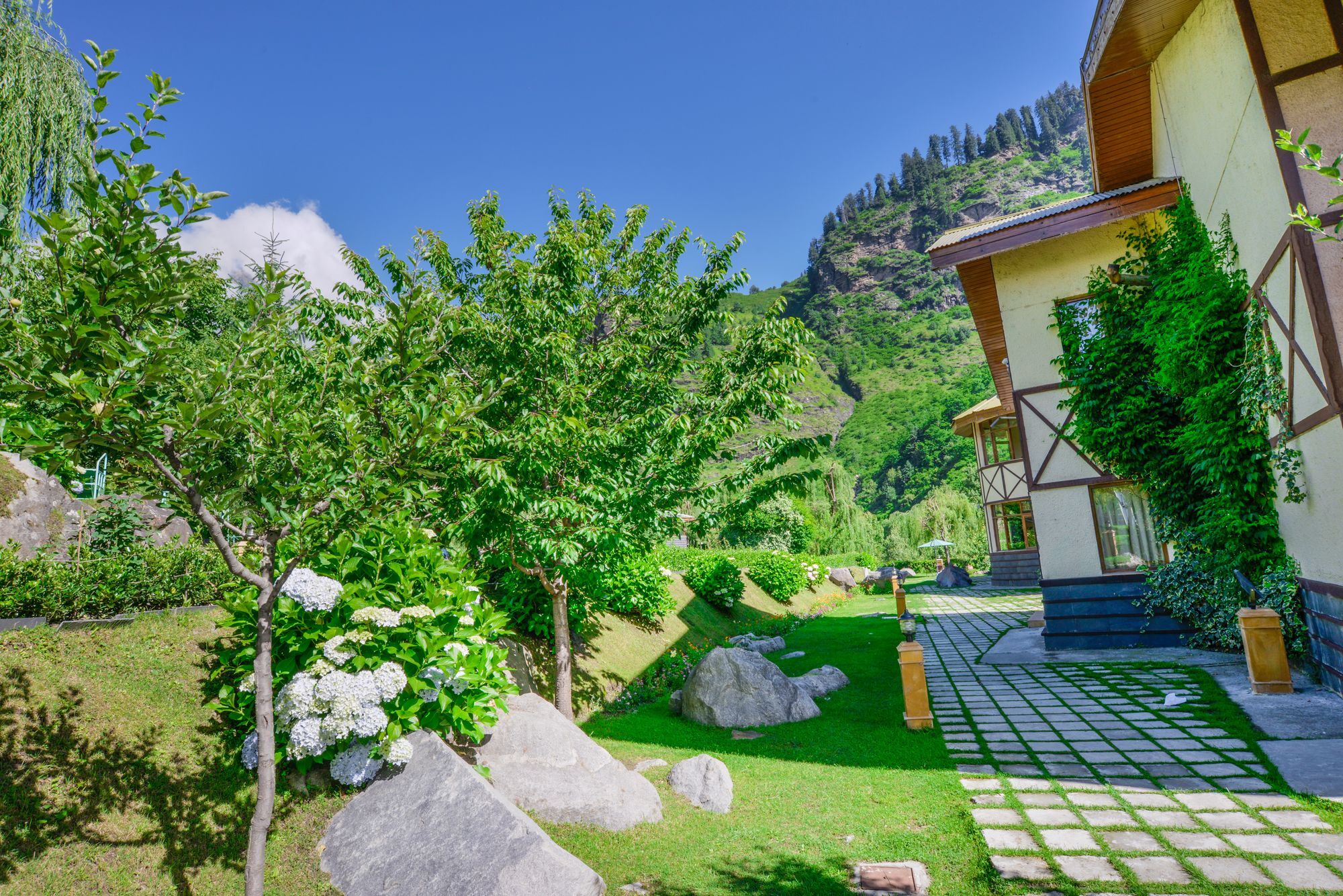 Solang Valley Resort Palchan Экстерьер фото