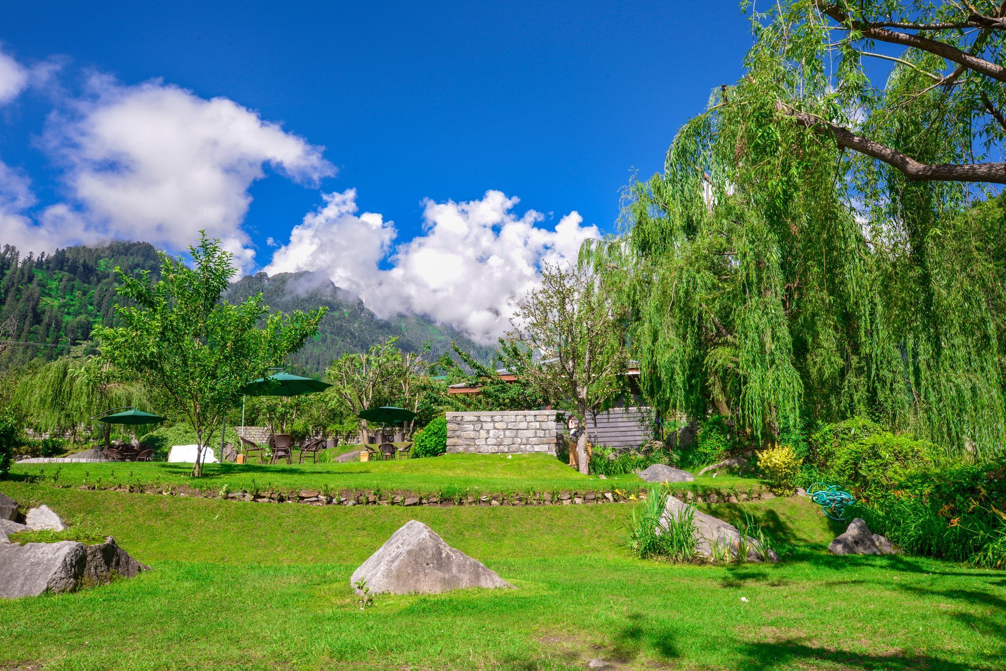 Solang Valley Resort Palchan Экстерьер фото
